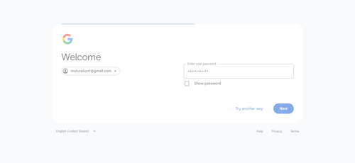 2026 04 16T14 10 01 291Z GOOGLE password entered.png