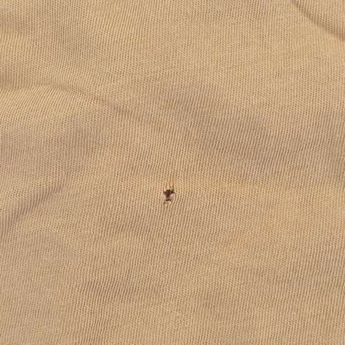 b70cf5f09359.1