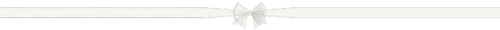 IMG 0420.png