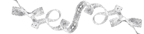 IMG 0426.png