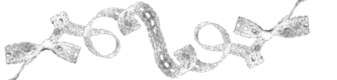 IMG 0425.png