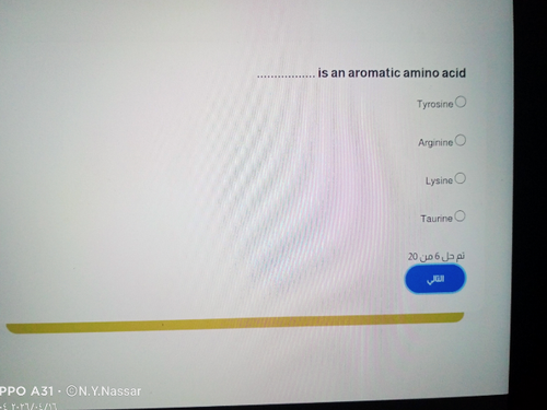 temp.png