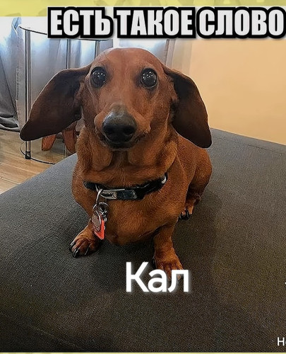 1000004484.jpg