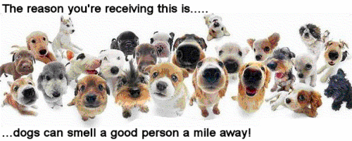 1000031386.gif