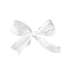 IMG 0428.png