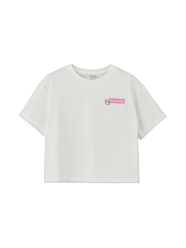 51XQVwf TdL.jpg