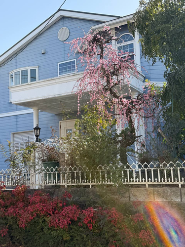 exterior.png