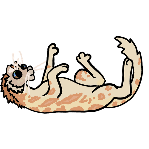 1000019587.png