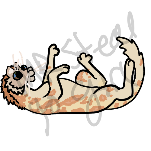 1000019588.png