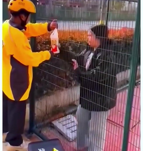 frame.jpg