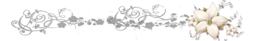IMG 0416.png