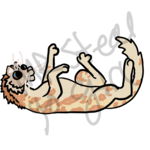 1000019589.png