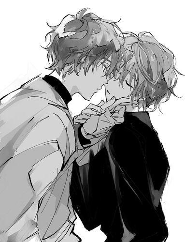 IMG 9789.png
