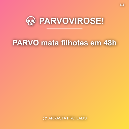 carousel 1776369603382 slide1.png