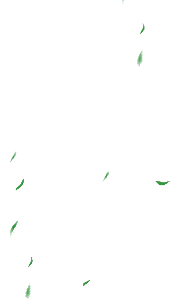 1776342525863.gif