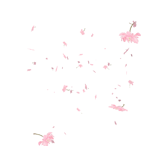 1776339214553.gif