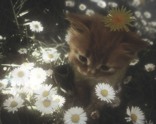 image 2026 04 16 135355521.png