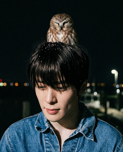 chnowl.png