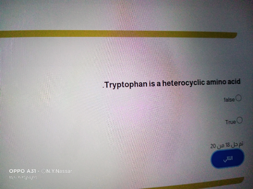 temp.png