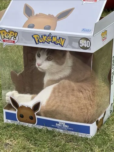 Eevee.webp