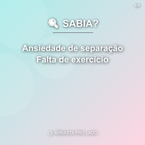 carousel 1776362408849 slide2.png