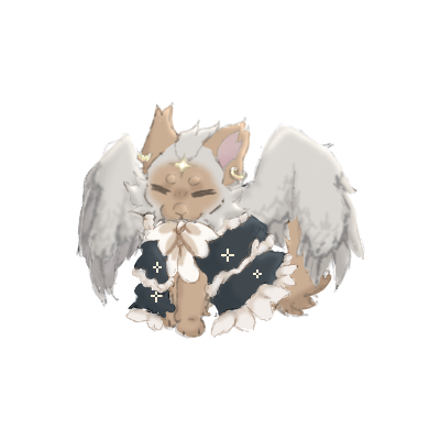 IMG 9134.png