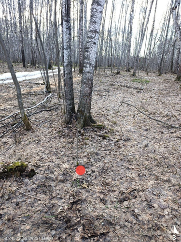 7453.jpg
