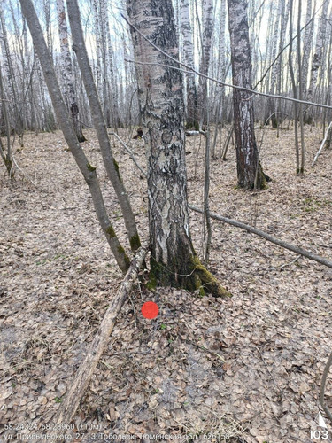 7451.jpg