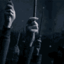 IMG 4895.gif
