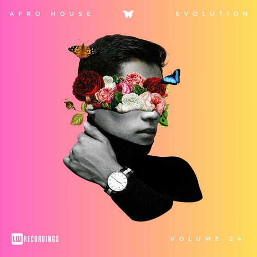 00 va afro house evolution vol. 24 (lwahevo24) web 2025.jpg