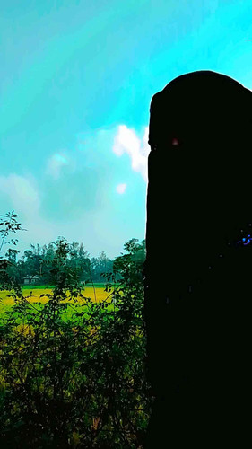 JPEG 20260417 022129 1363135113617133614.jpg