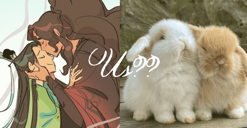 1000129319.png