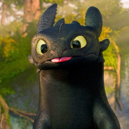 silly toothless[1].jpg