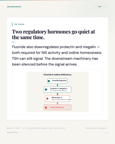 c5ab95fa46e2.png