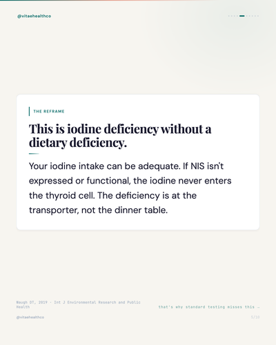 64102acafe1b.png
