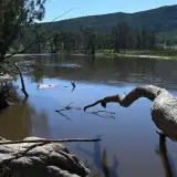 Ucigașul de polițiști nu este primul fugar atras spre Vestul Sălbatic