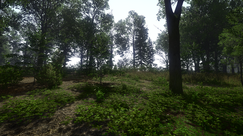 kingdom come deliverance 31943091518 o