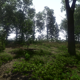 kingdom come deliverance 31943091518 o