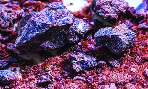 225918Kk 210311 2.jpg