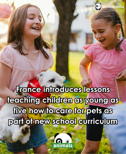 360. France adds pet care to school curriculum.png