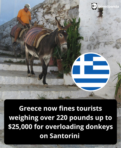 354. Greece officially fines overweight tourists to protect donkeys from cruelty.png