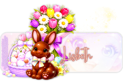 Lisbeth 91ºBanner.png