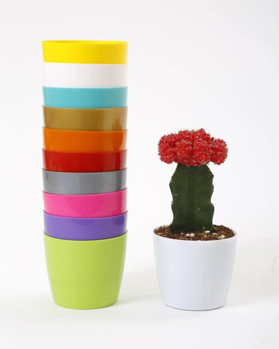 6b6d4d76 58a4 4b6b 8654 841ef3ab3704.jpg