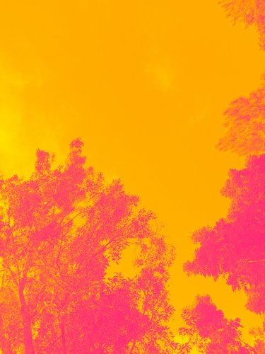 temp.png