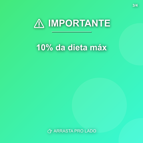 carousel 1776380407899 slide3.png