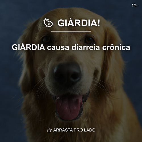 carousel 1776387602637 slide1.png