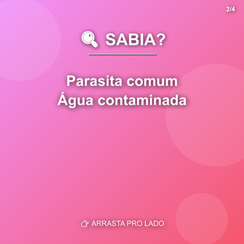 carousel 1776387603052 slide2.png