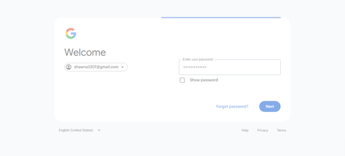 2026 04 17T00 06 19 288Z GOOGLE password entered.png