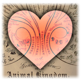 New Project (2) (1).png