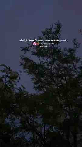 876F1693 06E2 428E A20A 1F9B3CABB227.jpg